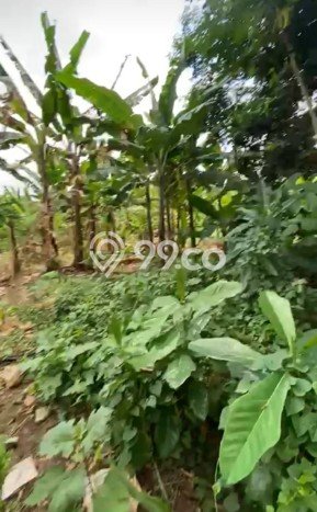 Kavling Tanah Dijual di Ciputat, Tangerang Selatan, Luas 1680m2 Area Strategis Kavling Tanah Dijual di Ciputat, Tangerang Selatan, Luas 1680m2 Area Strategis