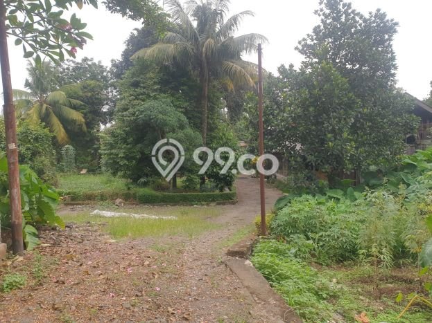 Dijual Tanah di Cilandak Jakarta Selatan Luas 5389m2 - Dijual Tanah di Cilandak Jakarta Selatan Luas 5389m2 -