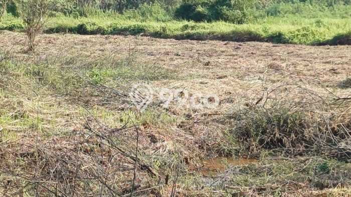 Kavling Tanah untuk Dijual di Jababeka, Bekasi, Luas 4606m2 Kavling Tanah untuk Dijual di Jababeka, Bekasi, Luas 4606m2