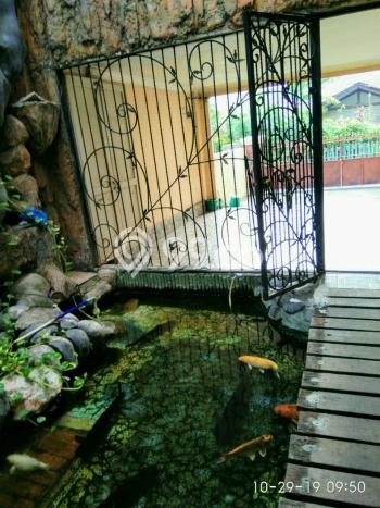 Rumah Elit Modern Siap Huni di Cipinang Jakarta Timur Rumah Elit Modern Siap Huni di Cipinang Jakarta Timur