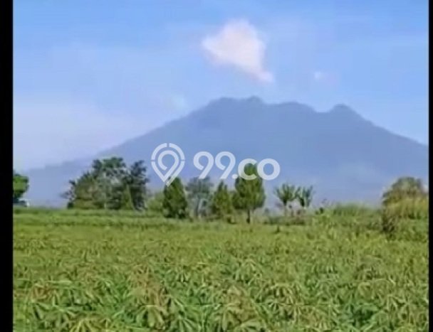 Lahan untuk Dijual Lokasi Caringin, Bogor Luas 1501m2 SHM Lahan untuk Dijual Lokasi Caringin, Bogor Luas 1501m2 SHM