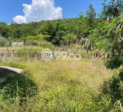 Gudang Dijual Lokasi Stratagis di Cisaat Sukabumi Cocok untuk Investasi Gudang Dijual Lokasi Stratagis di Cisaat Sukabumi Cocok untuk Investasi