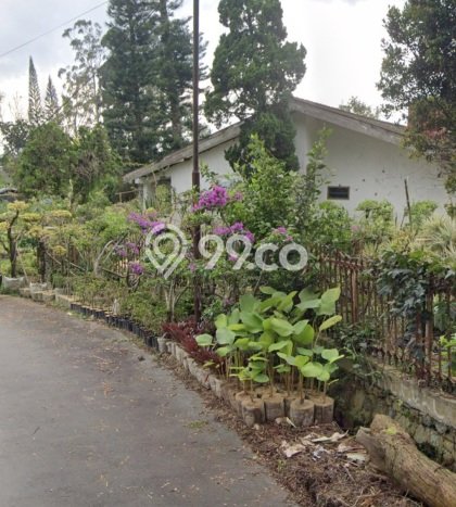 Vila Nyaman Kawasan Cipanas, Area 11265m2m², Pemandangan Menarik di area Vila Nyaman Kawasan Cipanas, Area 11265m2m², Pemandangan Menarik di area