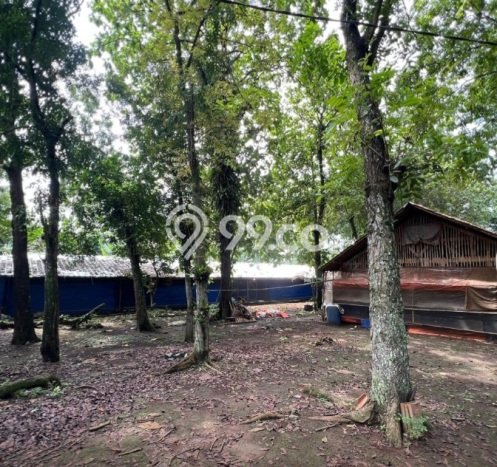 Kavling Tanah Dijual di Ciampea Bogor Spesifikasi 17570m2 Kavling Tanah Dijual di Ciampea Bogor Spesifikasi 17570m2