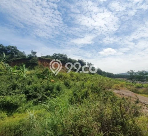 Tanah di Babakan Madang, Bogor Luas 37510m2 Dijual Segera Tanah di Babakan Madang, Bogor Luas 37510m2 Dijual Segera