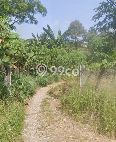 Kavling Tanah di Citeureup Dijual Luas 235821m2 Legalitas SHM Kavling Tanah di Citeureup Dijual Luas 235821m2 Legalitas SHM