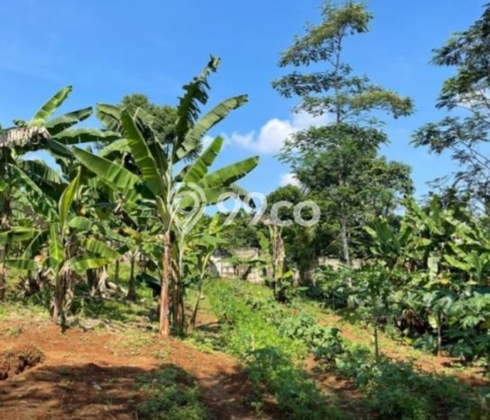 Dijual Tanah Kawasan Komersial Kawasan Babakan Madang, Luas 2042m², Prospek Tinggi Dijual Tanah Kawasan Komersial Kawasan Babakan Madang, Luas 2042m², Prospek Tinggi