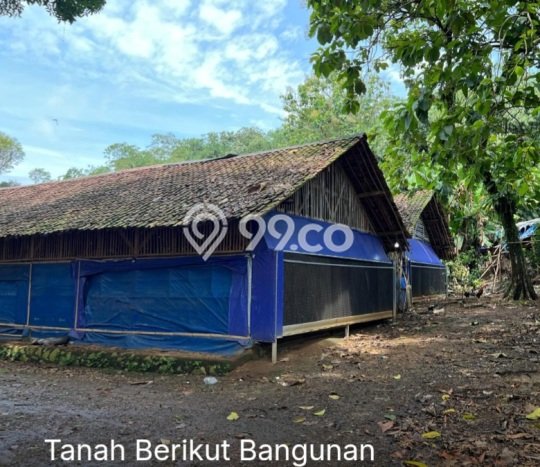 Kavling Tanah Dijual di Ciampea Bogor Spesifikasi 17570m2 Kavling Tanah Dijual di Ciampea Bogor Spesifikasi 17570m2