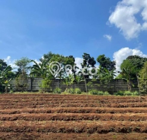 Dijual Tanah Kawasan Komersial Kawasan Babakan Madang, Luas 2042m², Prospek Tinggi Dijual Tanah Kawasan Komersial Kawasan Babakan Madang, Luas 2042m², Prospek Tinggi