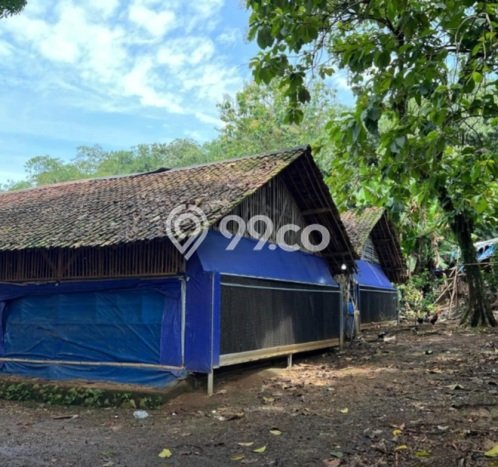 Kavling Tanah Dijual di Ciampea Bogor Spesifikasi 17570m2 Kavling Tanah Dijual di Ciampea Bogor Spesifikasi 17570m2