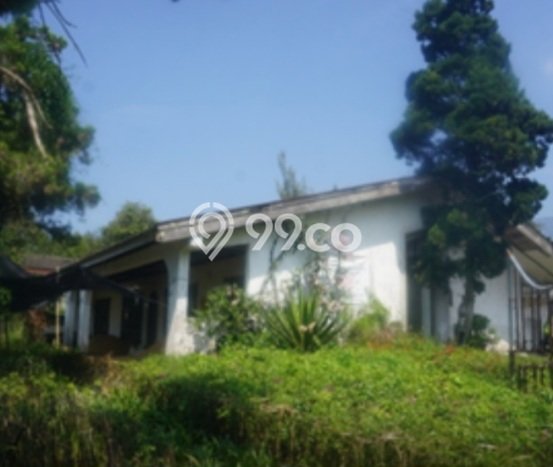 Vila Nyaman Kawasan Cipanas, Area 11265m2m², Pemandangan Menarik di area Vila Nyaman Kawasan Cipanas, Area 11265m2m², Pemandangan Menarik di area