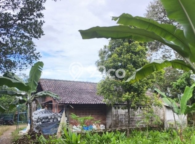 Kavling Tanah di Citeureup Dijual Luas 235821m2 Legalitas SHM Kavling Tanah di Citeureup Dijual Luas 235821m2 Legalitas SHM