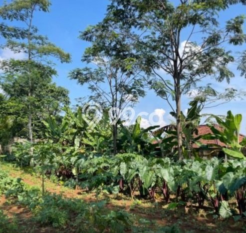 Dijual Tanah Kawasan Komersial Kawasan Babakan Madang, Luas 2042m², Prospek Tinggi Dijual Tanah Kawasan Komersial Kawasan Babakan Madang, Luas 2042m², Prospek Tinggi