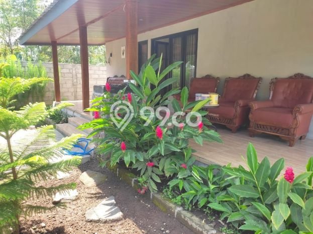 Dijual Rumah 2 Kamar Lokasi Strategis Nyaman dan Strategis di Turi Dijual Rumah 2 Kamar Lokasi Strategis Nyaman dan Strategis di Turi