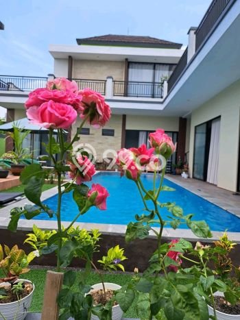 Hunian Mewah LB 480m2 Siap Pakai Desain Elegan di Nusa Dua, Badung Hunian Mewah LB 480m2 Siap Pakai Desain Elegan di Nusa Dua, Badung