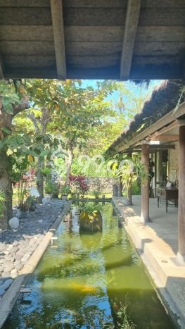 Rumah Elit Modern Tanpa Renovasi di Saba Gianyar Rumah Elit Modern Tanpa Renovasi di Saba Gianyar