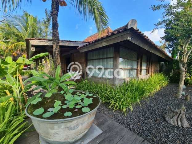 Dijual Rumah Luas Elegan Dengan View Eksklusif di Nyanyi, Badung Dijual Rumah Luas Elegan Dengan View Eksklusif di Nyanyi, Badung