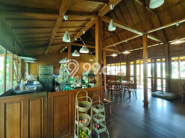 Rumah Eksklusif Siap Huni LT 1625m2 di Payangan, Gianyar Rumah Eksklusif Siap Huni LT 1625m2 di Payangan, Gianyar