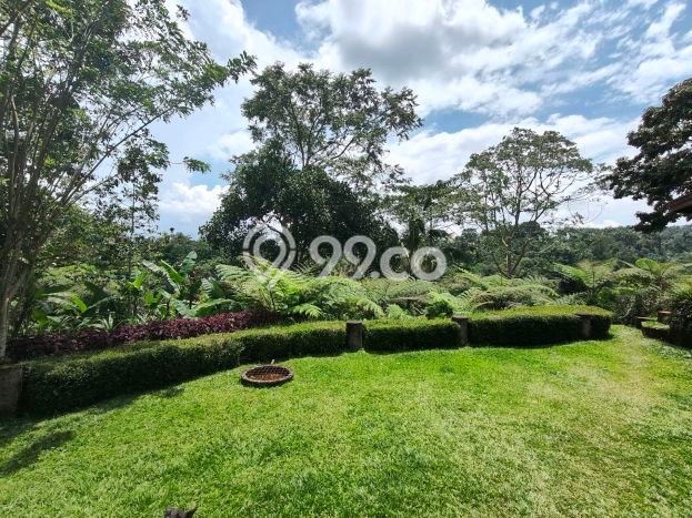 Rumah Eksklusif Siap Huni LT 1625m2 di Payangan, Gianyar Rumah Eksklusif Siap Huni LT 1625m2 di Payangan, Gianyar