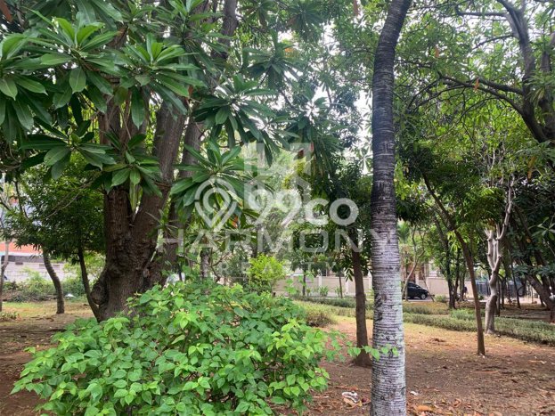 Rumah Elit Modern Tanpa Renovasi di Sunrise Garden Jakarta Barat Rumah Elit Modern Tanpa Renovasi di Sunrise Garden Jakarta Barat