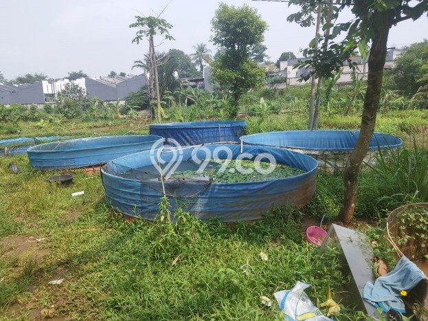 Kavling Tanah Dijual di Sawangan Depok Spesifikasi 3240m2 Kavling Tanah Dijual di Sawangan Depok Spesifikasi 3240m2