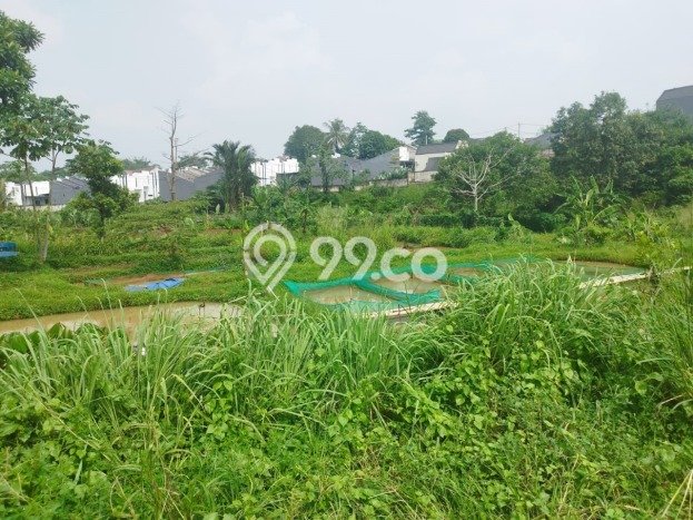 Kavling Tanah Dijual di Sawangan Depok Spesifikasi 3240m2 Kavling Tanah Dijual di Sawangan Depok Spesifikasi 3240m2