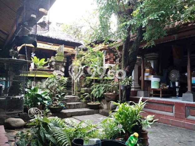 Siap Huni Rumah Mewah 5 Kamar di Denpasar Utara Dekat ke Mana Pun Siap Huni Rumah Mewah 5 Kamar di Denpasar Utara Dekat ke Mana Pun