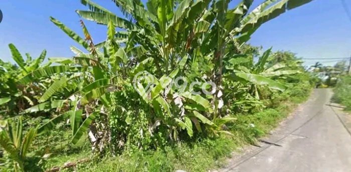 Dijual Tanah Lokasi Saba, Gianyar Seluas 400m2 Dijual Tanah Lokasi Saba, Gianyar Seluas 400m2