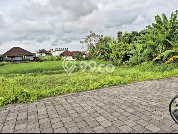 Tanah Kavling untuk Dijual di Denpasar Barat Denpasar 100m2 Tanah Kavling untuk Dijual di Denpasar Barat Denpasar 100m2