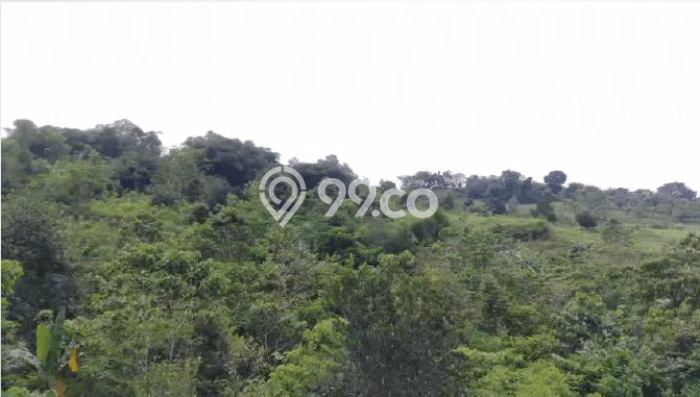 Tanah Kosong Dijual di Bogor dengan Area 21835m2 Tanah Kosong Dijual di Bogor dengan Area 21835m2