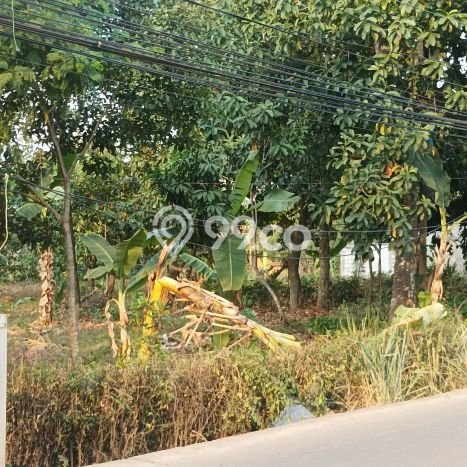 Tanah Kosong Dijual di Depok dengan Area 8545m2 Tanah Kosong Dijual di Depok dengan Area 8545m2