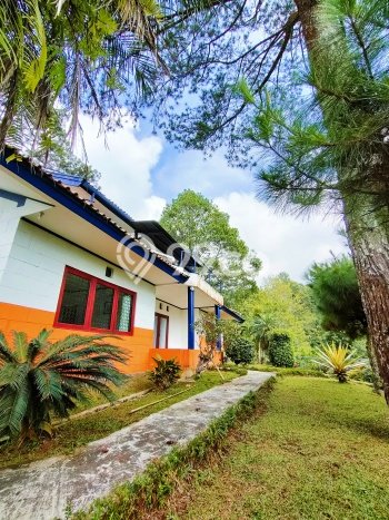 Vila Strategis di , Area 17900m2m², Posisi Strategis dengan jalan bagus Vila Strategis di , Area 17900m2m², Posisi Strategis dengan jalan bagus