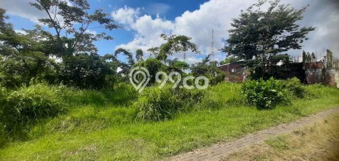 Kavling Tanah Dijual di Dau Malang Spesifikasi 1000m2 Kavling Tanah Dijual di Dau Malang Spesifikasi 1000m2