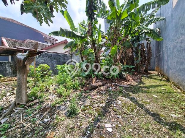 Tanah Kawasan Blimbing, Luas 153m2m², Dekat Jalan Utama Tanah Kawasan Blimbing, Luas 153m2m², Dekat Jalan Utama