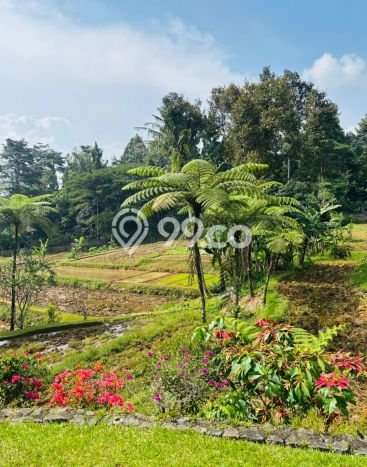 Vila Kawasan , Area 8400m2m², Dekat ke Pusat Kota Vila Kawasan , Area 8400m2m², Dekat ke Pusat Kota