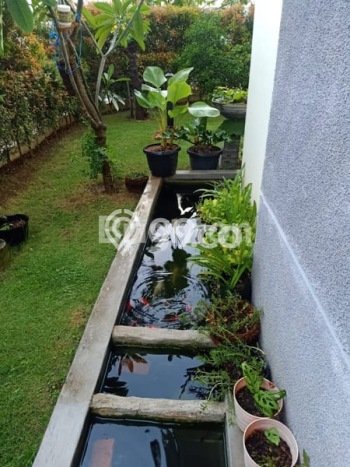 Dijual Hunian Rumah Nyaman 2 Kamar di harapan indah, Bekasi Dijual Hunian Rumah Nyaman 2 Kamar di harapan indah, Bekasi