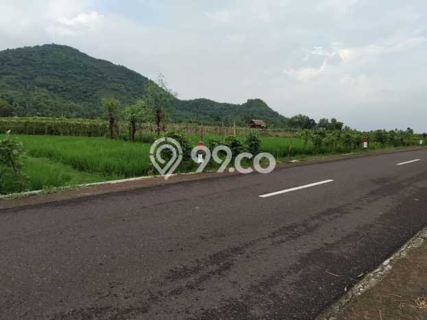 Tanah Kosong Dijual di Lombok Barat dengan Area 3637m2 Tanah Kosong Dijual di Lombok Barat dengan Area 3637m2
