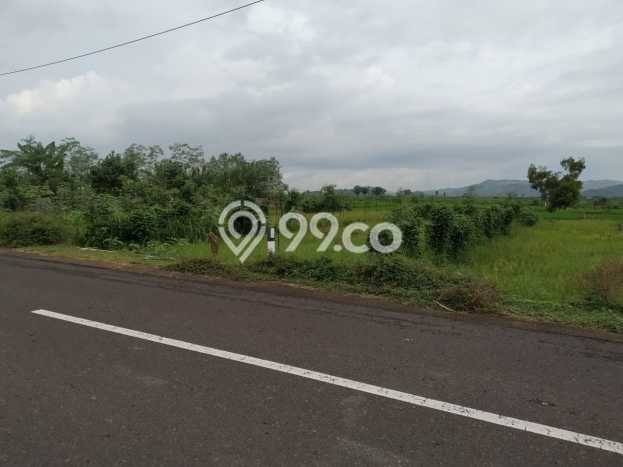 Tanah Kosong Dijual di Lombok Barat dengan Area 3637m2 Tanah Kosong Dijual di Lombok Barat dengan Area 3637m2