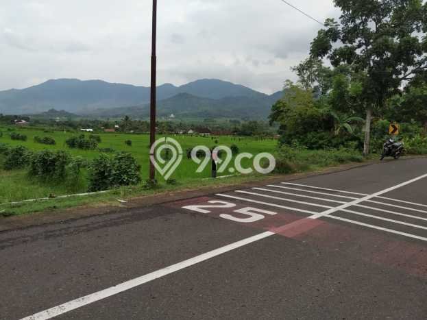 Tanah Kosong Dijual di Lombok Barat dengan Area 3637m2 Tanah Kosong Dijual di Lombok Barat dengan Area 3637m2
