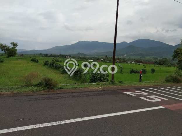 Tanah Kosong Dijual di Lombok Barat dengan Area 3637m2 Tanah Kosong Dijual di Lombok Barat dengan Area 3637m2
