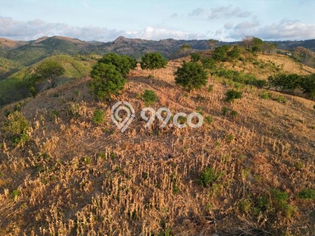 Tanah Dijual di Lombok Barat Seluas 45000m2 Strategis Tanah Dijual di Lombok Barat Seluas 45000m2 Strategis