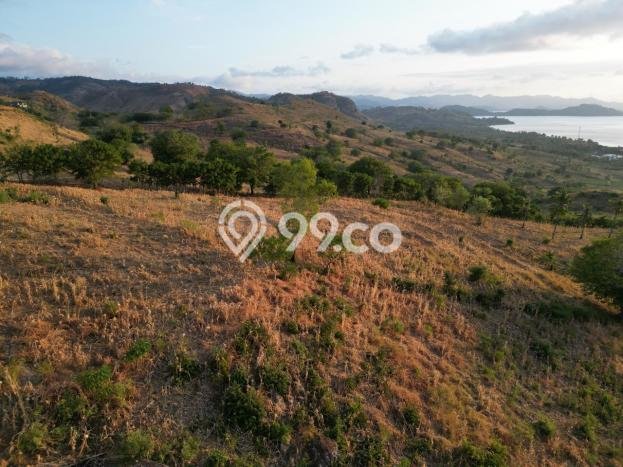 Tanah Dijual di Lombok Barat Seluas 45000m2 Strategis Tanah Dijual di Lombok Barat Seluas 45000m2 Strategis