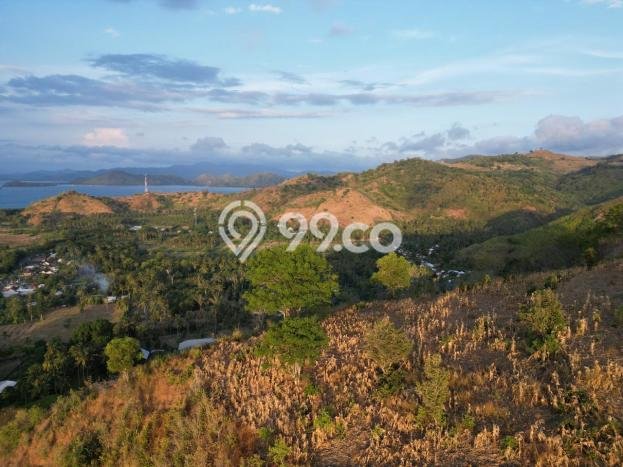 Tanah Dijual di Lombok Barat Seluas 45000m2 Strategis Tanah Dijual di Lombok Barat Seluas 45000m2 Strategis