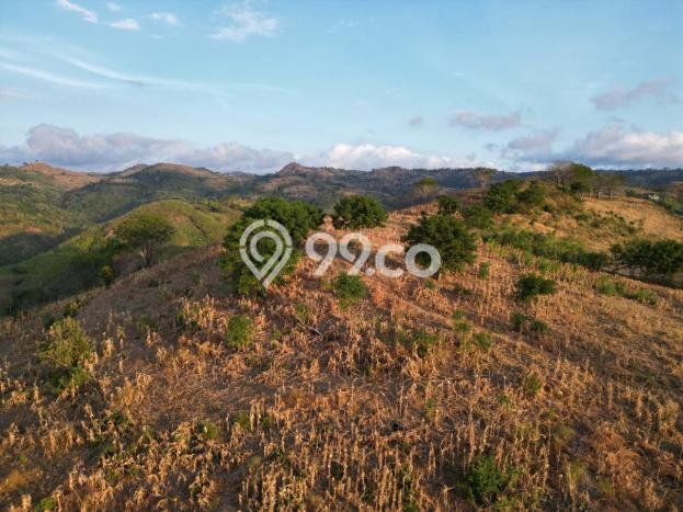 Tanah Dijual di Lombok Barat Seluas 45000m2 Strategis Tanah Dijual di Lombok Barat Seluas 45000m2 Strategis