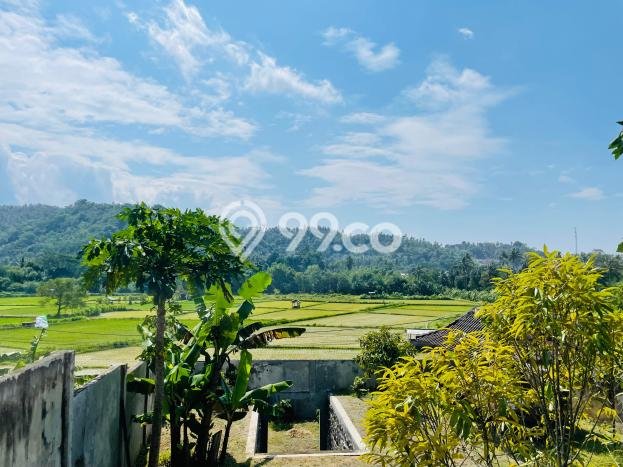 Tanah Kavling untuk Dijual di Gunung Sari Lombok Barat 483m2 Tanah Kavling untuk Dijual di Gunung Sari Lombok Barat 483m2