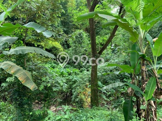 Kavling Tanah untuk Dijual di Senggigi, Lombok Barat, Luas 12737m2 Kavling Tanah untuk Dijual di Senggigi, Lombok Barat, Luas 12737m2