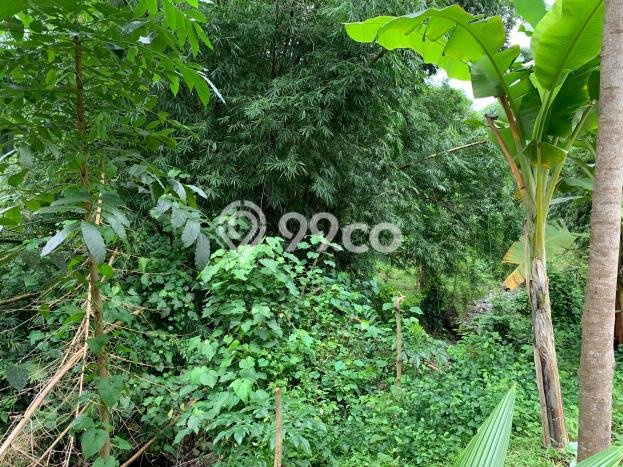 Kavling Tanah untuk Dijual di Senggigi, Lombok Barat, Luas 12737m2 Kavling Tanah untuk Dijual di Senggigi, Lombok Barat, Luas 12737m2