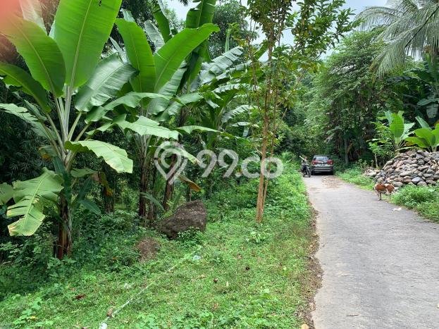 Kavling Tanah untuk Dijual di Senggigi, Lombok Barat, Luas 12737m2 Kavling Tanah untuk Dijual di Senggigi, Lombok Barat, Luas 12737m2