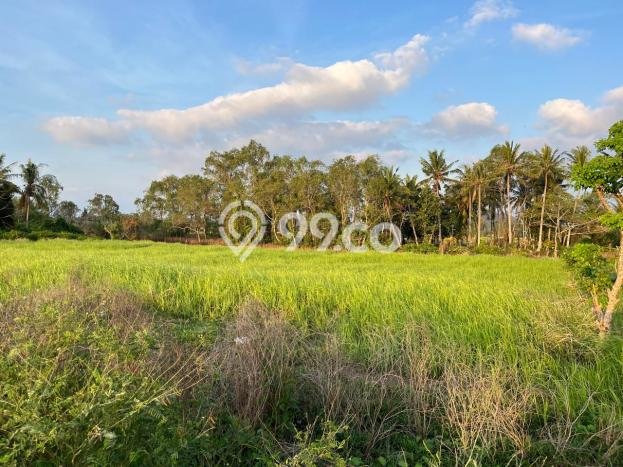 Kavling Tanah di Lembar Dijual Luas 4000m2 Legalitas SHM Kavling Tanah di Lembar Dijual Luas 4000m2 Legalitas SHM
