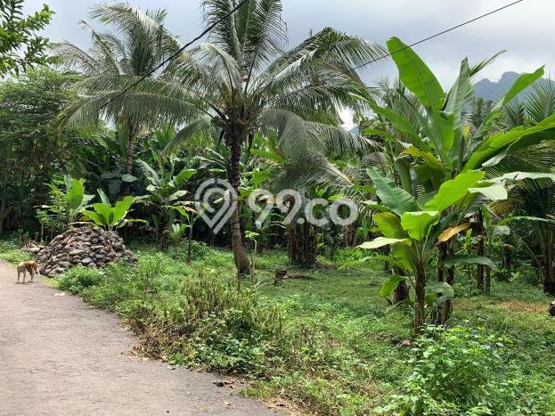 Kavling Tanah untuk Dijual di Senggigi, Lombok Barat, Luas 12737m2 Kavling Tanah untuk Dijual di Senggigi, Lombok Barat, Luas 12737m2